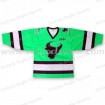 cheap new design custom made ice hockey jerseys